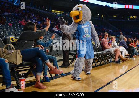 Atlanta Dream mascot, Star the Bird.