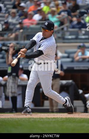 Former New York Yankees infielder Lee Mazzilli (24) during the Seventy  First Old Timers Day Game played prior to game between the New York Yankees  and Texas Rangers at Yankee Stadium in
