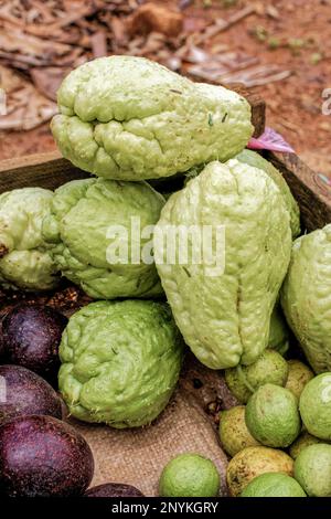 09 08 2007 close up of Chayota vegetable peer on local market Nuwara Eliya hill Sri Lanka Asia. Stock Photo