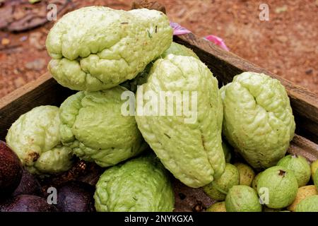 09 08 2007 close up of Chayota vegetable peer on local market Nuwara Eliya hill Sri Lanka Asia. Stock Photo