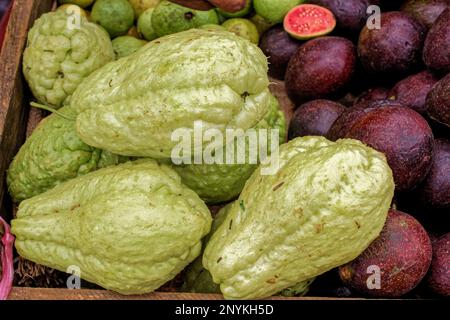 09 08 2007 close up of Chayota vegetable peer on local market Nuwara Eliya hill Sri Lanka Asia. Stock Photo