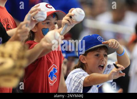 Chicago City Of Champions Mario Chicago Cubs and Mario Chicago