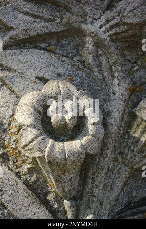 A beautiful flower carved into the natural stone wall Stock Photo - Alamy