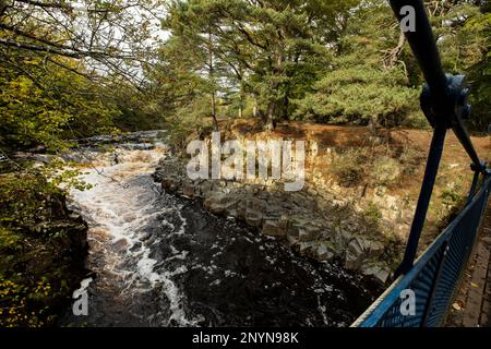 The River Tees at Wynch Bridge Bowlees below Low Force Middleton in Teesdale County Durham. First bridge built 1741, current bridge dates to1830. Stock Photo