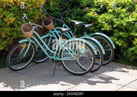 Vintage Bicycles Stock Photo