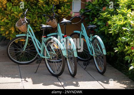 Vintage Bicycles Stock Photo