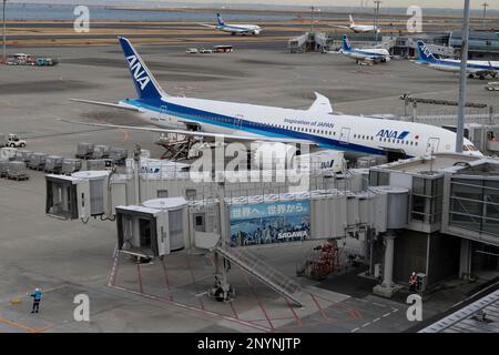 March 2, 2023, Tokyo, Japan: An ANA Boeing 787 Dreamliner jet (JA833A) at the gate at Terminal 2 of Tokyo Haneda International Airport. (HND) The airline industry faces a severe staffing and pilot shortage as international travel rebounds after the COVID-19 pandemic...ANA (All Nippon Airways å…¨æ—¥æœ¬ç©ºè¼¸æ ªå¼ä¼šç¤¾) is one of the leading airlines in the Asia-Pacific region. Founded in 1952, it has grown to become the largest airline in Japan, operating both domestic and international flights. ANA has a fleet of over 250 aircraft, including Boeing 787 Dreamliners and Airbus A380s, and serve Stock Photo