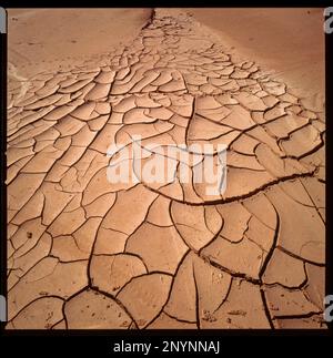 Argentina, cracked earth in the north, because of drought. Stock Photo