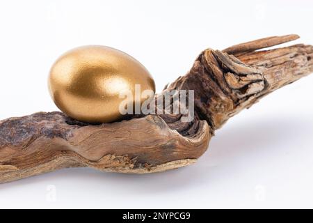 Gold egg symbol of financial success placed harmoniously on driftwood branch against white background in horizontal image with copy space Stock Photo