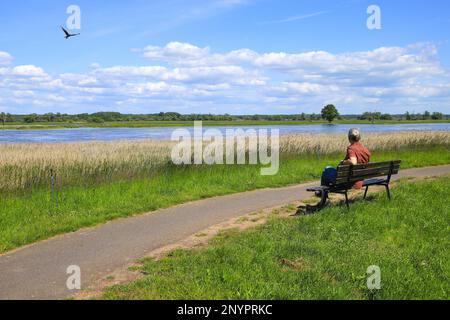 A resting place. View from the Oder-Neisse Biking and hiking trail to the river Oder, Groß Neuendorf, federal state Brandenburg - Germany Stock Photo