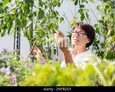 Woman chooses plants and trees for landscaping. Outdoor shelves with seedlings, flowering plants and seeds in flower shop. Open air agronomic market. Stock Photo