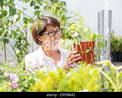 Woman chooses plants for landscaping. Outdoor shelves with seedlings, flowering plants and seeds in flower shop. Open air agronomic market. Stock Photo