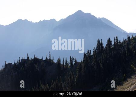 WA20998-00....WASHINGTON - Olympic Mountains from Hurricane Hill in Olympic National Park. Mount Angeles is the high pointon the second ridge. Stock Photo