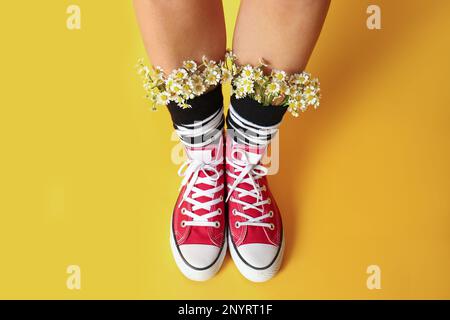 Above view of woman with beautiful tender chamomile flowers in socks on yellow background Stock Photo