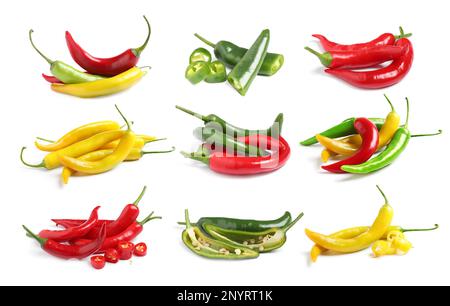 Different chili peppers on white background Stock Photo Alamy Different chili peppers on white background Stock Photo Alamy