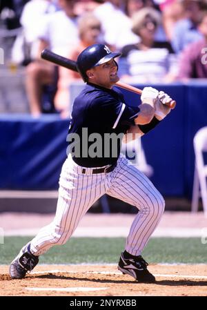 New York Yankees starting pitcher David Cone throws to Minnesota Twins  leadoff batter Chuck Knoblauch in the first inning in Minneapolis, July 29,  1995. Cone arrived in Minnesota on Saturday afternoon after