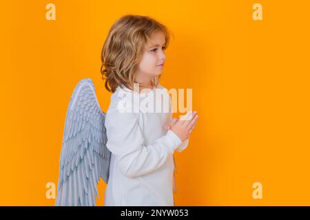 Angel prayer kids. Child at angel costume. Kid with angel wings. Isolated studio shot Stock Photo