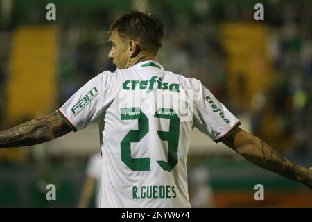 SC - Chapeco - 20/05/2017 - Brasileiro A 2017 Chapecoense X Palmeiras ...