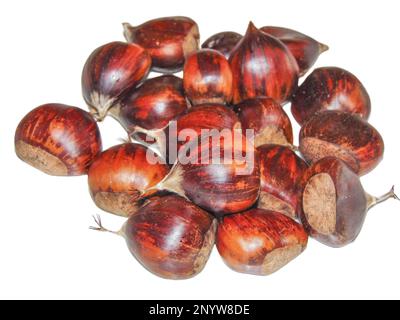 boiled chestnuts isolated on white background Stock Photo