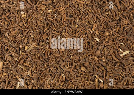 Valerian herb root background. Macro photo. Close up. Shallow depth of field. Valeriana officinalis. used in herbal medicine as a tranquillizer and to Stock Photo