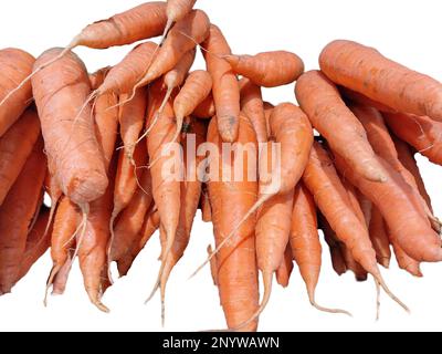 Bunch of carrots isolated on white background Stock Photo
