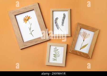 Frames with pressed dried flowers and plant leaf on orange background. Beautiful herbarium Stock Photo