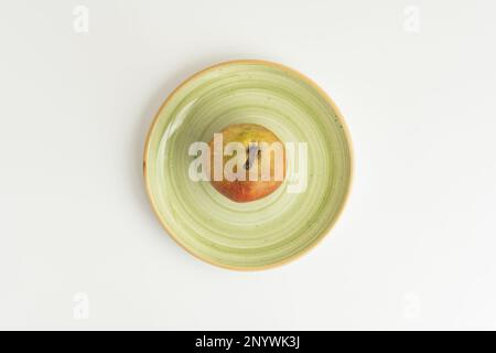 A lone ripe pear on a green plate seen from the top Stock Photo