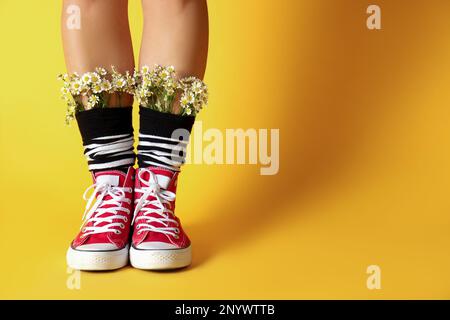 Woman with beautiful tender chamomile flowers in socks on yellow background, closeup. Space for text Stock Photo