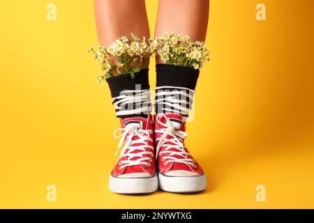 Woman with beautiful tender chamomile flowers in socks on yellow background, closeup Stock Photo