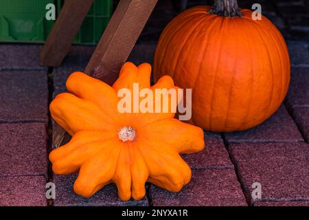 Two orange pumpkins lie on a paved road. Close up. Stock Photo