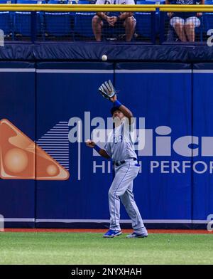 Tampa Bay Rays 2nd baseman Ben Zobrist batting against the Toronto Blue  Jays at the Rogers Centre in Toronto, ON. The Tampa Bay Rays lose to the  Blue Jays 5-1. (Credit Image: ©