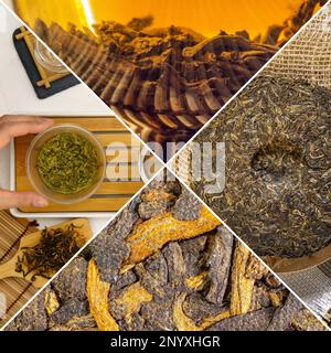 Collage of different types of dried tea leaves. Collage Tea, close up. Square format Stock Photo