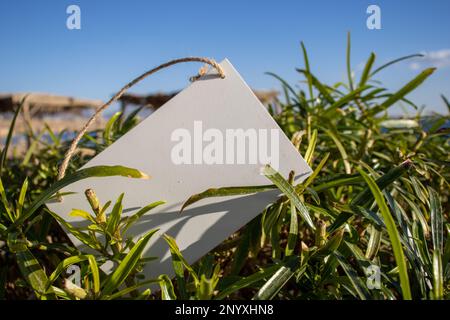 green leaves with tropical blue sea and a white hanging picture sign with empty free space for template or blank copy area Stock Photo