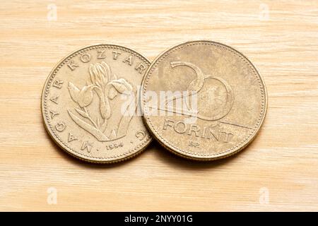 20 Hungarian Forints two twenty Forint coins, side and reverse, object macro, extreme closeup, detail, nobody. Hungary, Hungarian currency, finances e Stock Photo