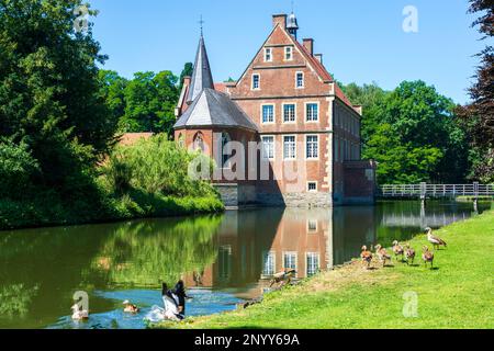 Havixbeck: Hülshoff water castle, Egyptian goose (Alopochen aegyptiaca) in Münsterland, Nordrhein-Westfalen, North Rhine-Westphalia, Germany Stock Photo