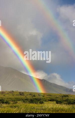 Vertical view of a brilliant rainbow across the mwest maui mountains. Stock Photo