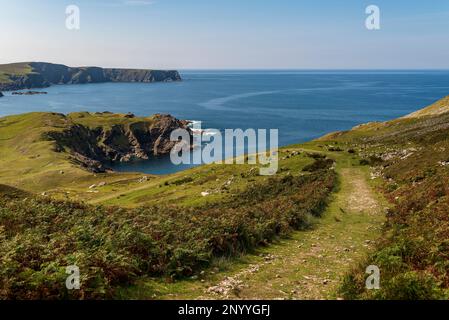 Glencolumbkille Tower Loop hiking trail, leading along the green cliffs of Donegal, Ireland Stock Photo