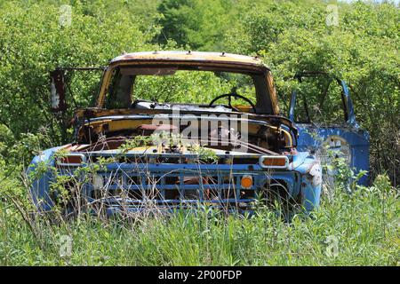 An old classic American made blue truck sits rusted out in the woods Stock Photo