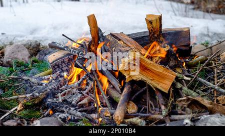 fire bonfire winter woods firewood flames Stock Photo