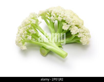 raw baby stick cauliflower isolated on white background Stock Photo