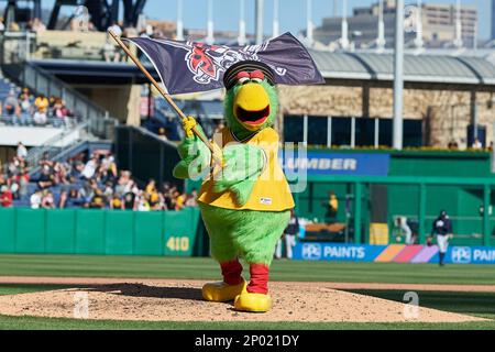 Pittsburgh Pirates mascot waves the pirate's flag, the Jolly Rogers  following the Pirates 7-0 win against the Houston Astros at PNC Park in  Pittsburgh on April 13, 2009. .(UPI Photo/Archie Carpenter Stock