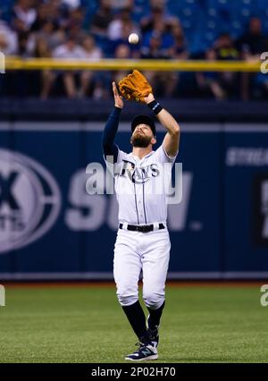 Tampa Bay Rays 2nd baseman Ben Zobrist batting against the Toronto Blue  Jays at the Rogers Centre in Toronto, ON. The Tampa Bay Rays lose to the  Blue Jays 5-1. (Credit Image: ©