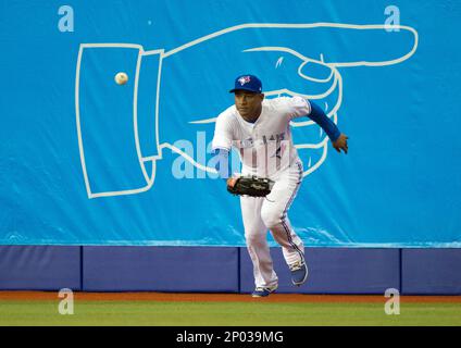 Pittsburgh Pirates' Adam Frazier during a spring training baseball workout  Monday, Feb. 17, 2020, in Bradenton, Fla. (AP Photo/Frank Franklin II Stock  Photo - Alamy