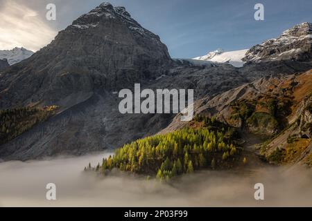 Italian Dolomites, idyllic Stelvio pass landscape in south Tyrol, Northern Italy Stock Photo