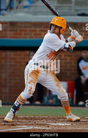 Tennessee catcher Benito Santiago (31) watches a pitch during an NCAA  baseball game against Tennessee Tech Tuesday, March 28, 2017, in Knoxville,  Tenn. (Wade Payne via AP Images Stock Photo - Alamy