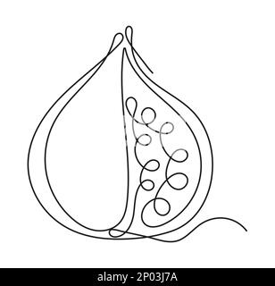 Online fig icon. Continuous fruits and vegetables. Natural, healthy food for life and diets. Nutric products illustration in sketch style. Stock Vector