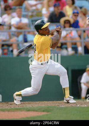Oakland A's Rickey Henderson (24) during a game from his career with the Oakland  A's. Rickey Henderson played for 25 years with 9 different teams and was  inducted to the Baseball Hall
