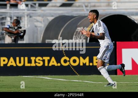 Ponte Preta - São Paulo, Campeonato Paulista