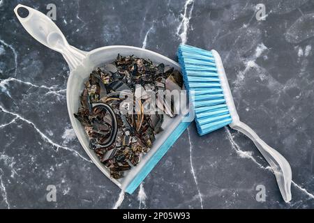 Shards of broken dark glassware on a scoop and a brush on a marble floor. Stock Photo