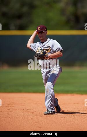 Chase Rollin - Baseball - Central Michigan University Athletics